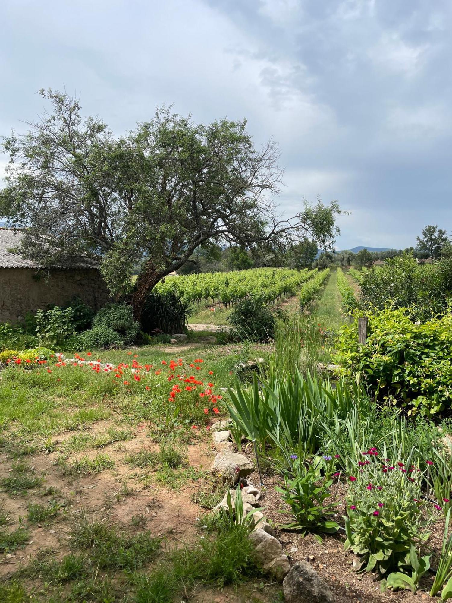 Bed and Breakfast Le Deffend Vieux Trets Esterno foto